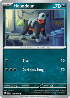 Houndour – Common