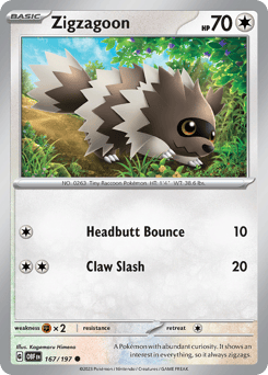 Zigzagoon – Common
