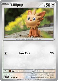 Lillipup – Common