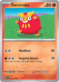 Darumaka – Common