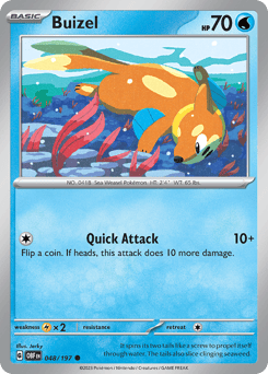 Buizel – Common