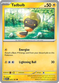 Tadbulb – Common