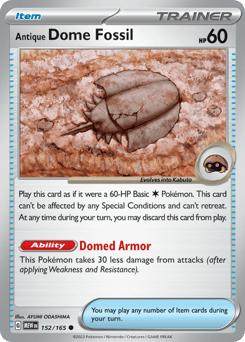 Antique Dome Fossil – Common