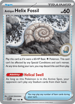 Antique Helix Fossil – Common