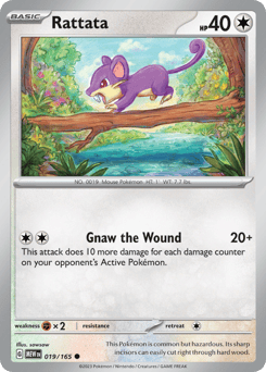 Rattata – Common