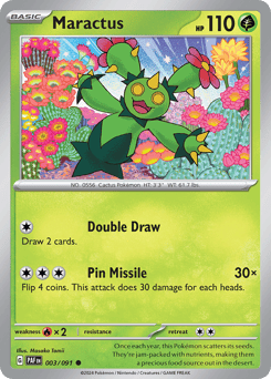 Maractus – Common