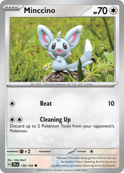 Minccino – Common