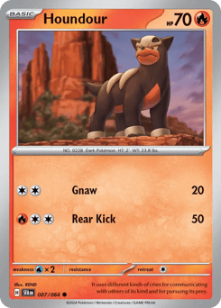 Houndour – Common