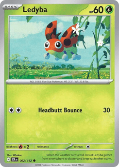 Ledyba – Common