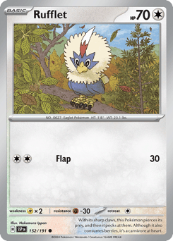 Rufflet – Common