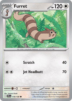 Furret – Common