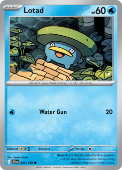 Lotad – Common
