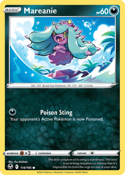 Mareanie – Common