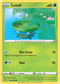 Lotad – Common