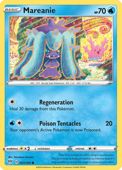 Mareanie – Common