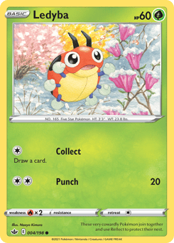 Ledyba – Common