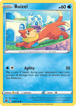 Buizel – Common