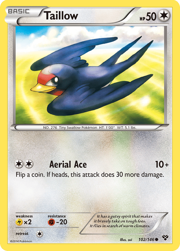 Taillow – Common – XY