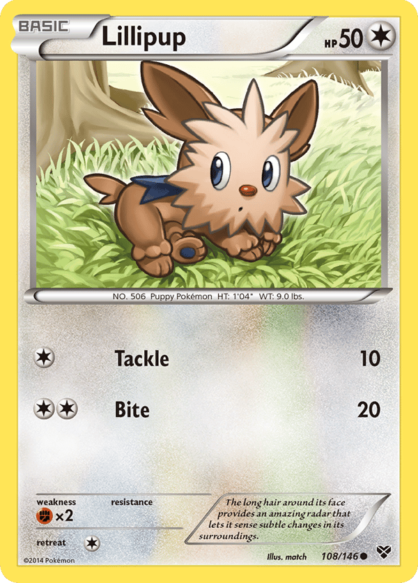 Lillipup – Common – XY