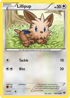 Lillipup – Common – XY