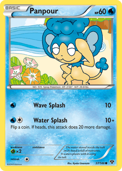 Panpour – Common – XY