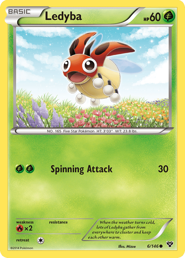 Ledyba – Common – XY