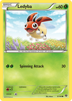 Ledyba – Common – XY