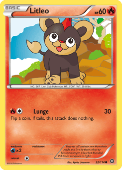 Litleo – Common