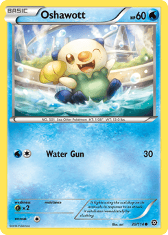 Oshawott – Common