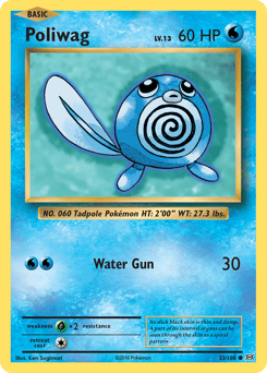Poliwag – Common – Evolutions