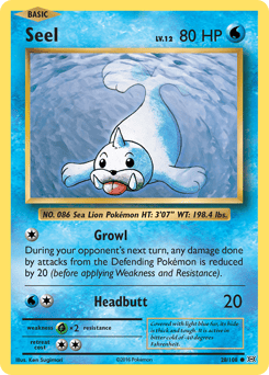 Seel – Common – Evolutions