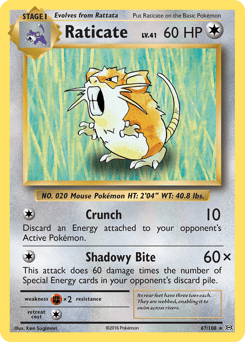 Raticate – Rare – Evolutions