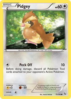 Pidgey – Common – Flashfire