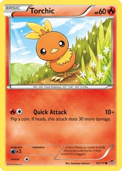 Torchic – Common