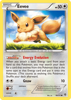 Eevee – Common