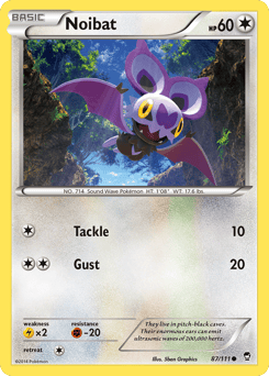 Noibat – Common