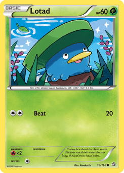 Lotad – Common