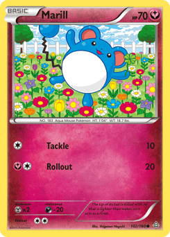 Marill – Common