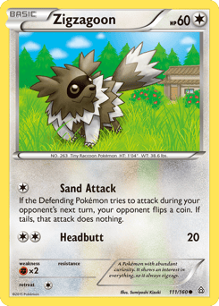 Zigzagoon – Common