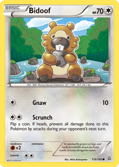 Bidoof – Common