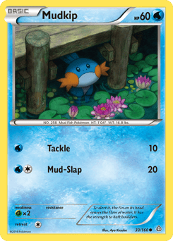 Mudkip – Common