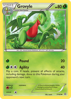 Grovyle – Uncommon