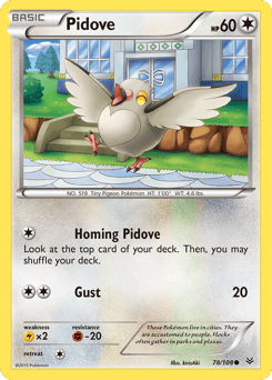 Pidove – Common
