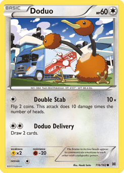 Doduo – Common