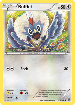 Rufflet – Common