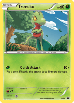 Treecko – Promo
