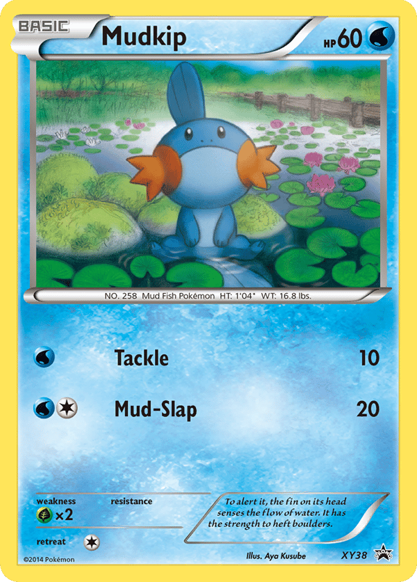 Mudkip – XY Black Star Promos