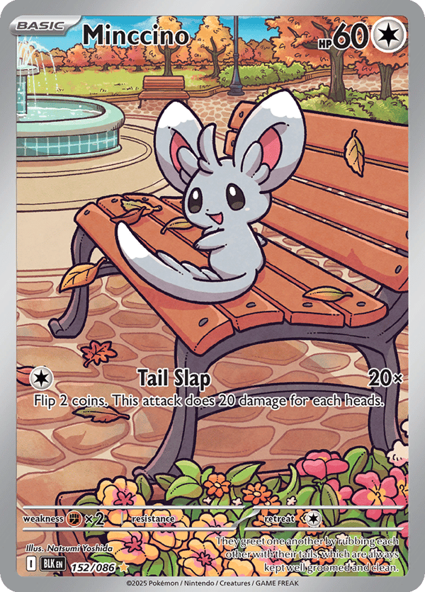 Minccino – Black Bolt