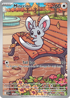 Minccino – Illustration Rare