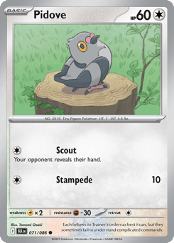 Pidove – Common
